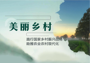 乡村振兴农业现代规划方案文本