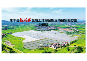 永丰县佐龙乡全域土地综合整治项目实施方案