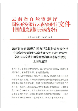 云南省自然资源厅《关于做好政策性金融支持全域土地综合整治和生态保护修复工作的通知》云自然资修复〔2025〕10号