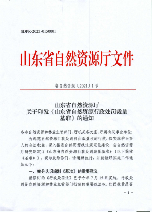 山东省自然资源《行政处罚裁量基准》鲁自然资规〔2021〕1 号
